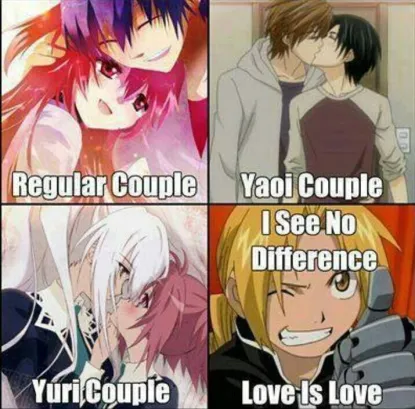 Regular couple, yaoi couple, yuri couple. I see no difference, love is love.